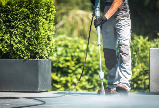 Best Driveway Pressure Washing  in Detroit Beach, MI